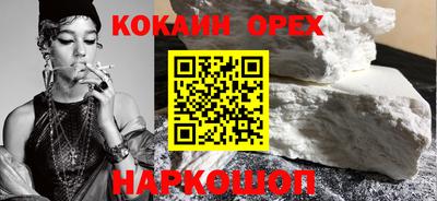 гашик Аргун