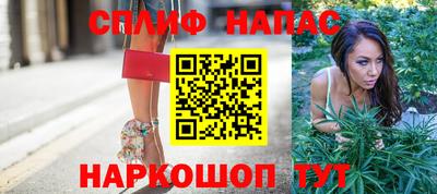 гашик Аргун