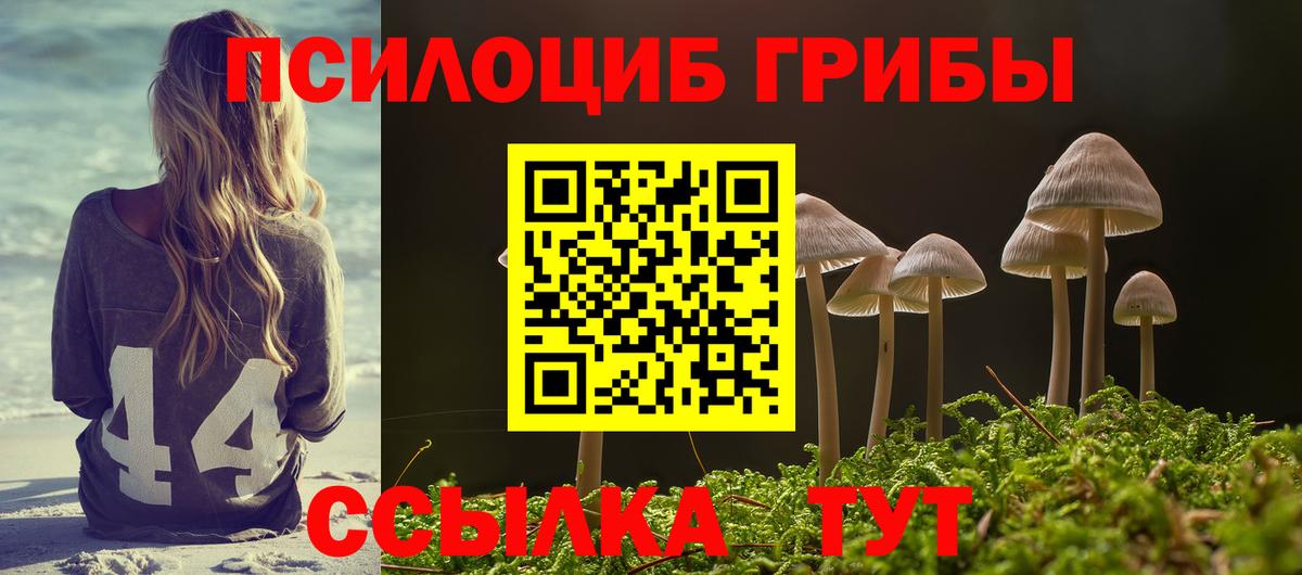 Выборг  Галлюциногенные грибы GOLDEN TEACHER  Вход с VPN 
